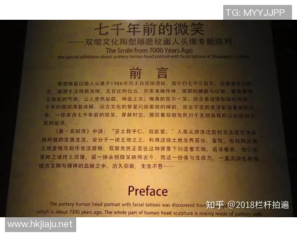 《展翅高飞的猎手:老鹰在自然界中的生存智慧与壮丽景观》 《展翅高飞的猎手:老鹰在自然界中的生存智慧与壮丽景观》