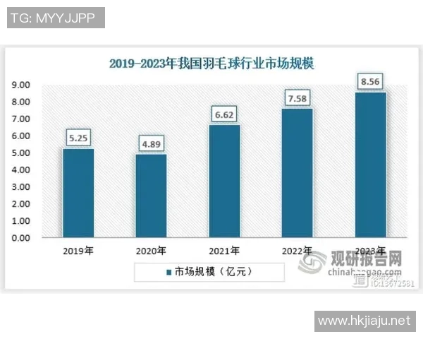南京羽毛球队整体压制现象解析及其对羽毛球发展的影响
