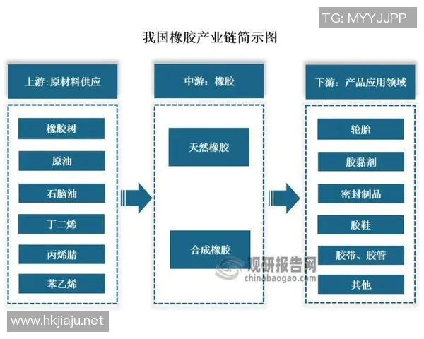 橡胶制品工艺技术与应用研究